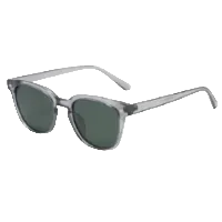 029 Waye Polarized