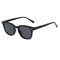 028 Waye Polarized