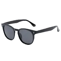 027 Waye Polarized